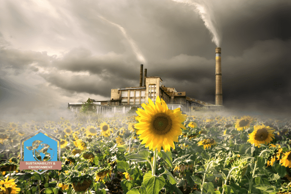Online Course Certified Environmental Impact Assessment Specialist