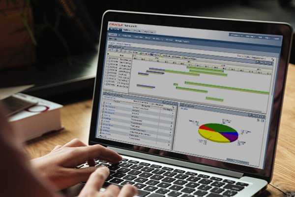 Online Course Certified Primavera Project Planner
