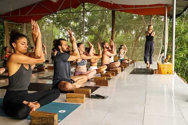 Online Course Certified Yoga & Meditation E-learning Course Developer
