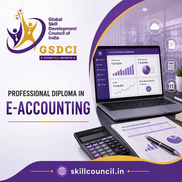 Online Course Professional Diploma in E-Accounting