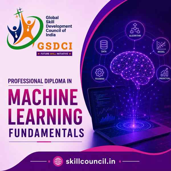Online Course Professional Diploma in Machine Learning Fundamentals