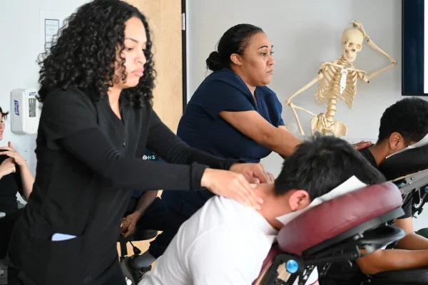 Online Course Certified Holistic Health Practitioner