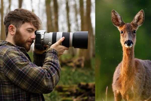 Online Course Certified Wildlife Photographer