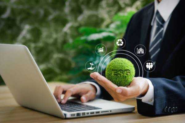 Online Course Certified Sustainable Business Development Manager