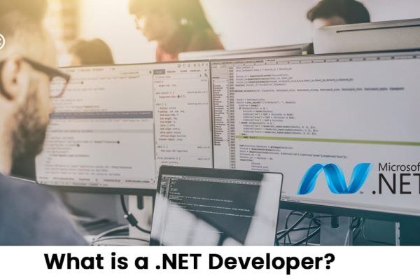 Online Course Certified .NET Developer