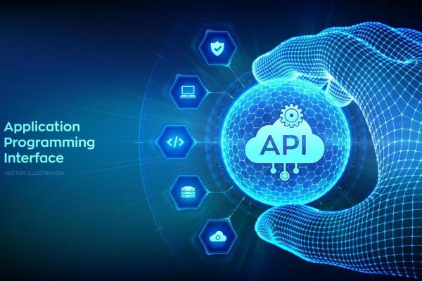 Online Course Certified Application Programming Interface Developer