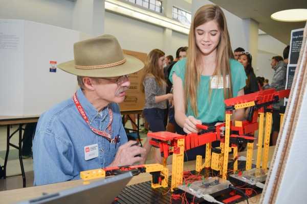 Online Course Certified Early Science, Technology, Engineering, and Mathematics Educator