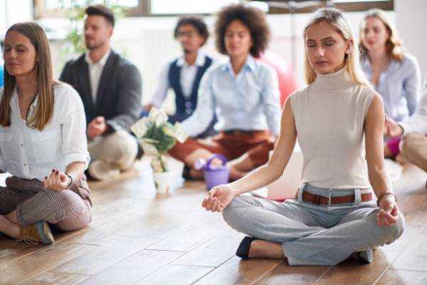 Online Course Certified Organizational Mindfulness Consultant