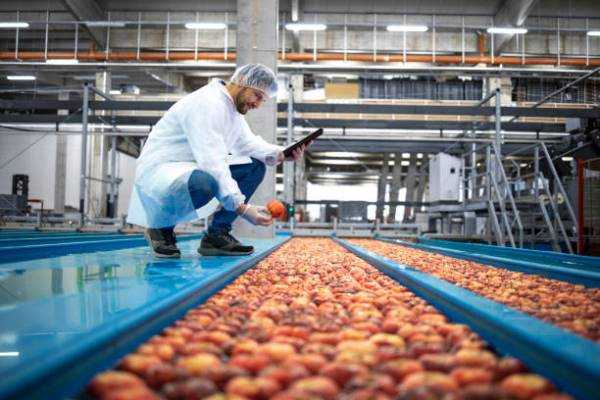 Online Course Certified Food Production Technician