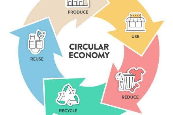 Online Course Certified Circular Economy Strategist