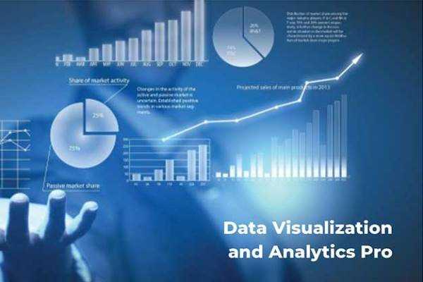 Online Course Certified Data Visualization Specialist