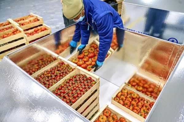 Online Course Certified Perishable Perishables Transport Specialist