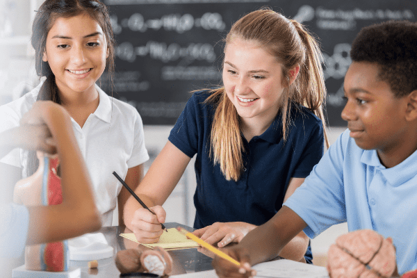 Online Course Certified Social-Emotional Learning Facilitator