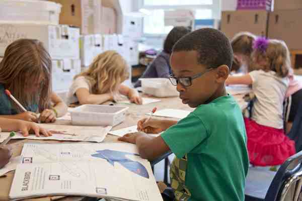 Online Course Certified Universal Design for Learning Implementation Specialist