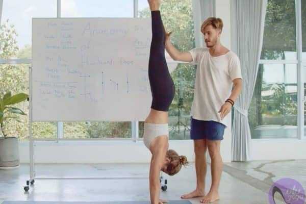 Online Course Certified Yoga Anatomy Educator