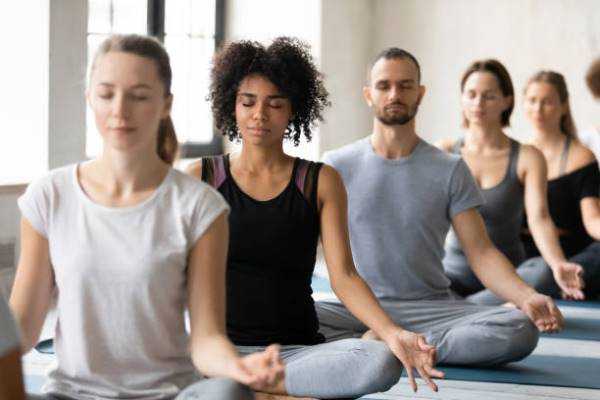 Online Course Certified Yoga & Meditation Workshop Facilitator