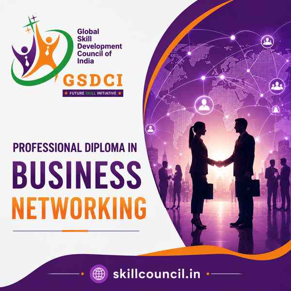 Online Course Professional Diploma in Business Networking