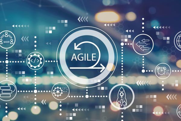 Online Course Certified Agile Transformation Consultant