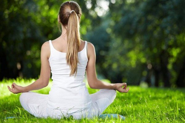 Online Course Certified Yoga & Meditation Research & Data Analyst